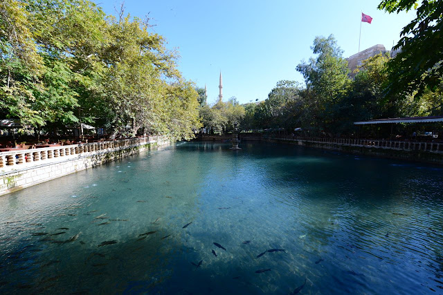 Urfa Los Mundos de Hachero Urfa Los Mundos de Hachero