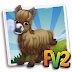 Matted Poitou Mini Donkey ( prized ,adult,baby )