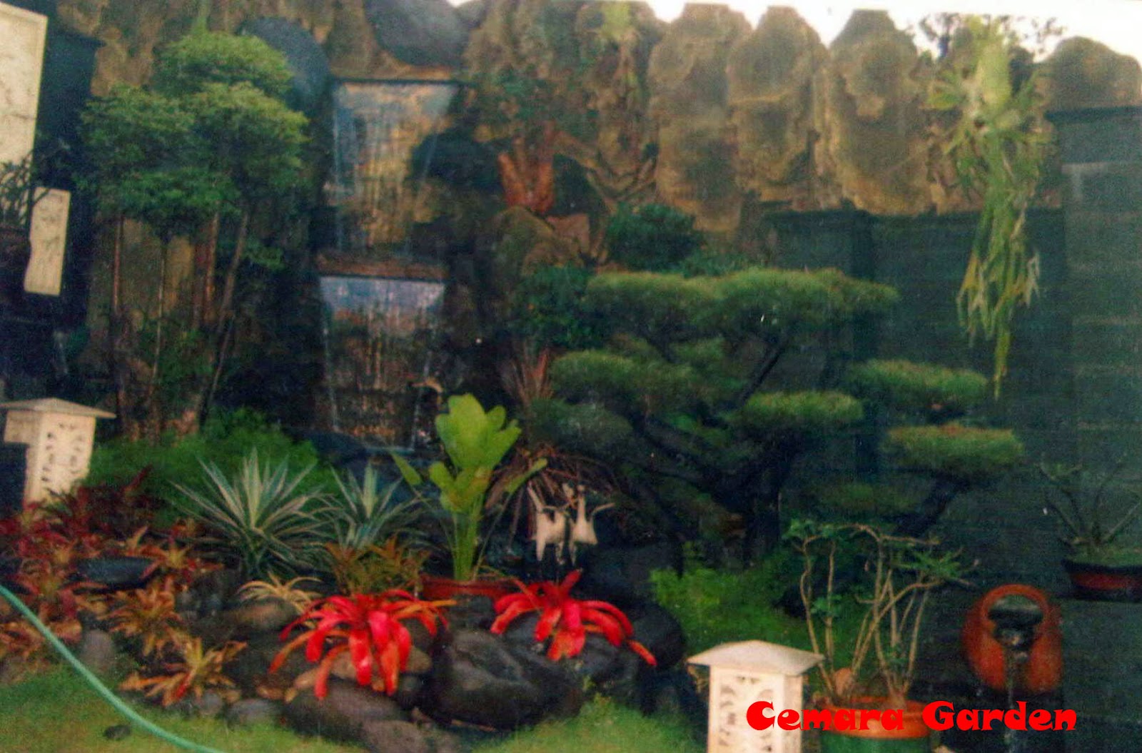 TAMAN DINDING - KOLAM MINIMALIS: TAMAN DINDING