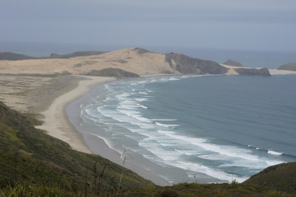 Dolphinday Gedichte Zum Meer