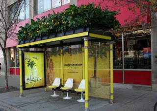 Absolut Lemon Drop Ad absolut lemon drop bus shelter ad