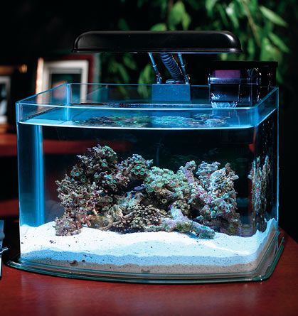 Adityaacrylic19 Aneka Aquarium Acrylic Buka 24 Jam Hari Minggu