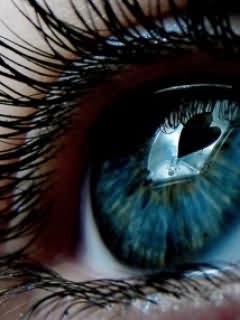 free hd wallpaper download blue eyes wallpapers