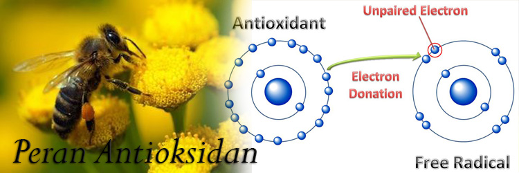 antioksidan