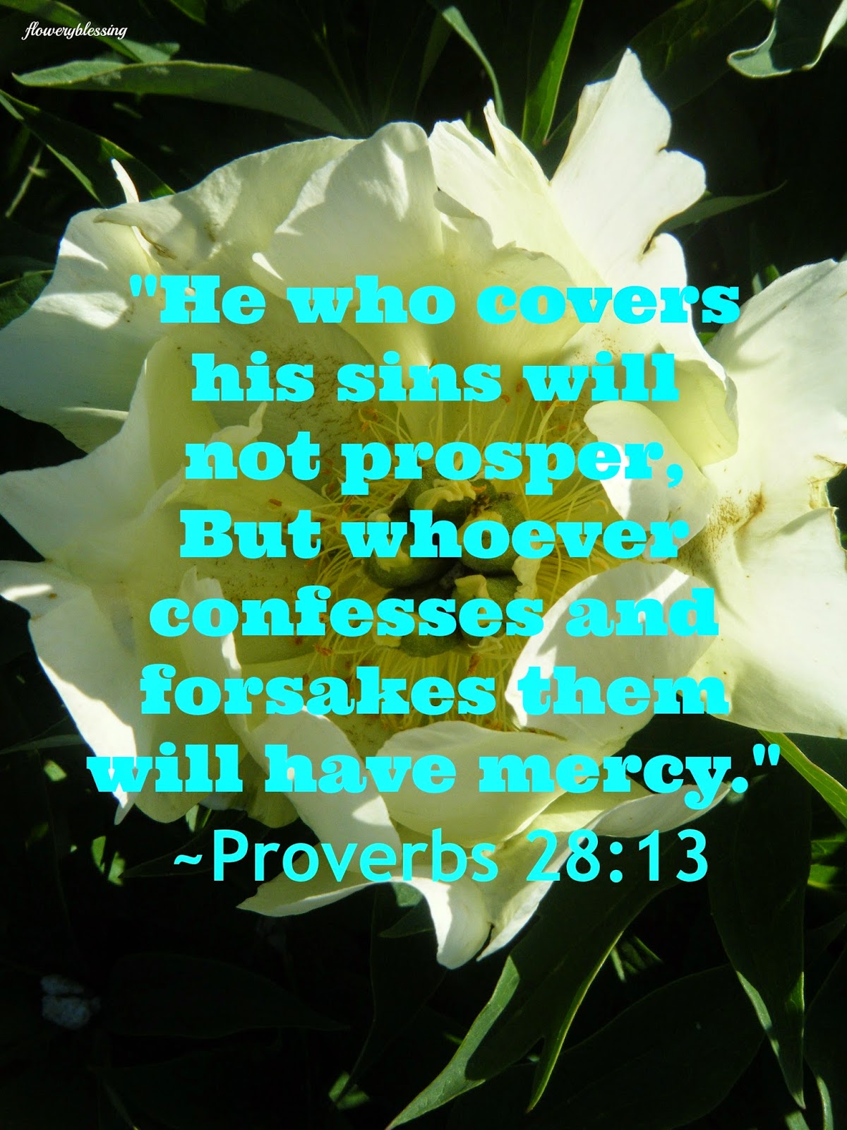 Flowery Blessing "He who covers his sins will not prosper, But whoever