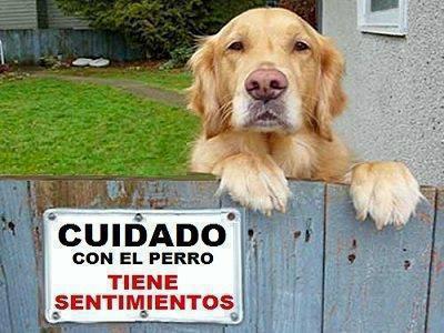 29 de Abril, Día del Animal Cuidado+con+el+perro