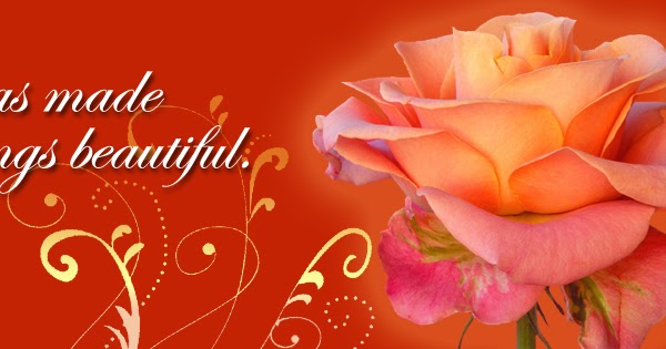 On my mind...: God Has Made All Things Beautiful 1 - Timeline Cover