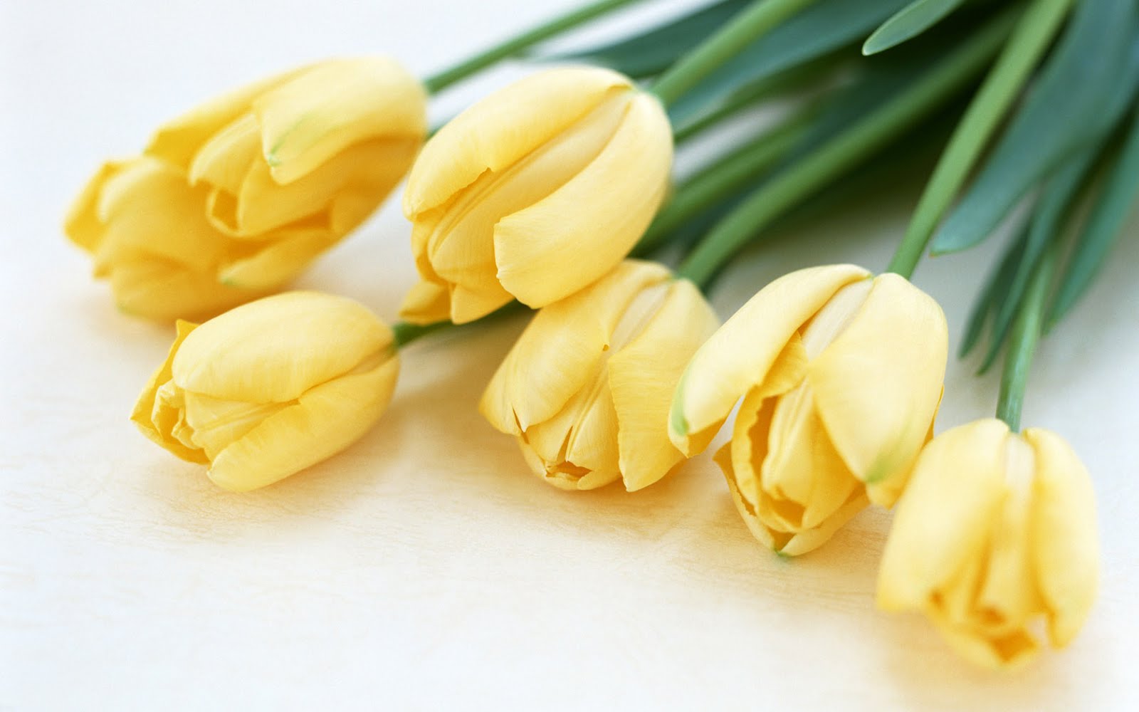http://4.bp.blogspot.com/-1aibafL_npI/UNAsaei0HhI/AAAAAAABBR0/TNBJYlkleqE/s1600/bm-image-737036.jpeg