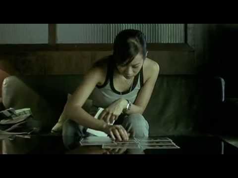 Essay on horror movies