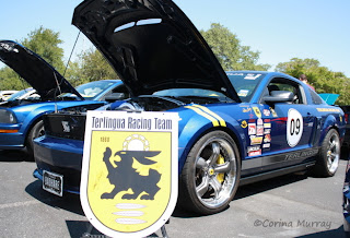 Terlingua Racing Team Ford Mustang