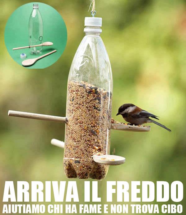 dare+da+mangiare+agli+uccellini.jpg (600×692)