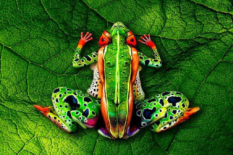 The Mind Blowing Body Painting Illusions of Johannes Stoetter