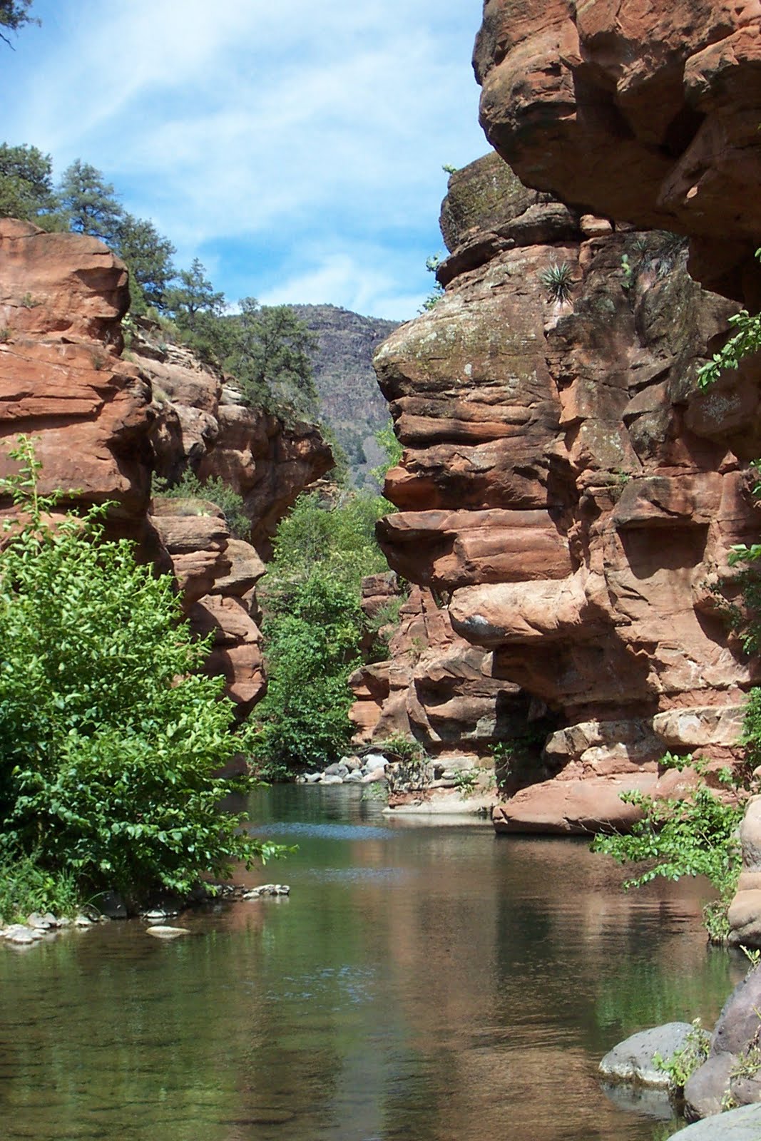 clear creek water shoes
