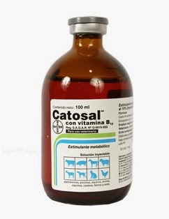 CATOSAL 100 ML