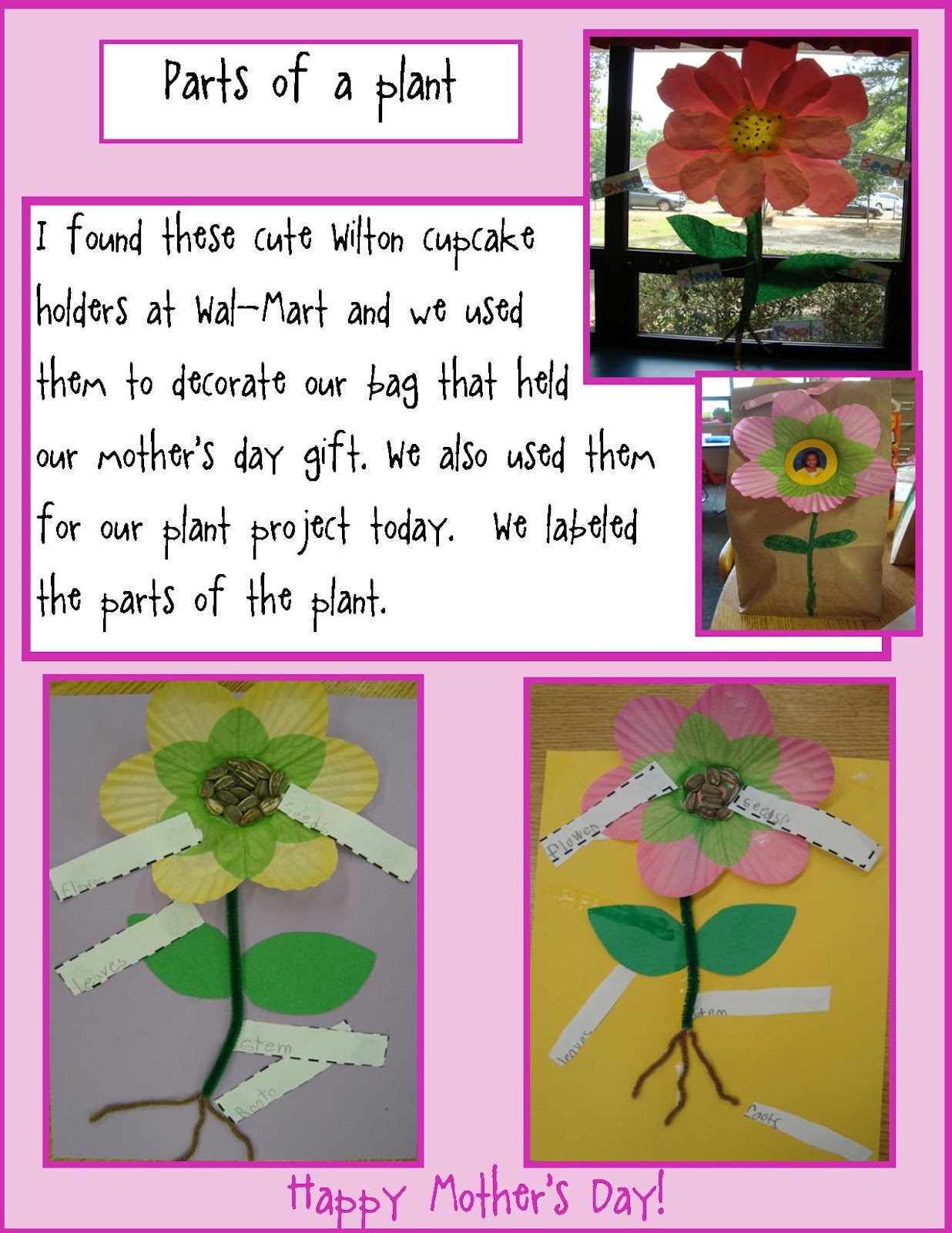 Golden Gang Kindergarten: Parts of a Plant