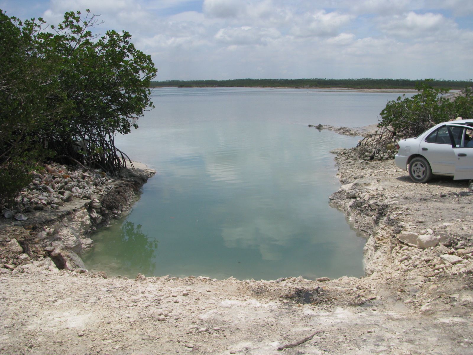 CHIPOJO LAB The Water Hole