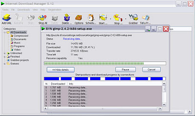 Internet manager forever living products