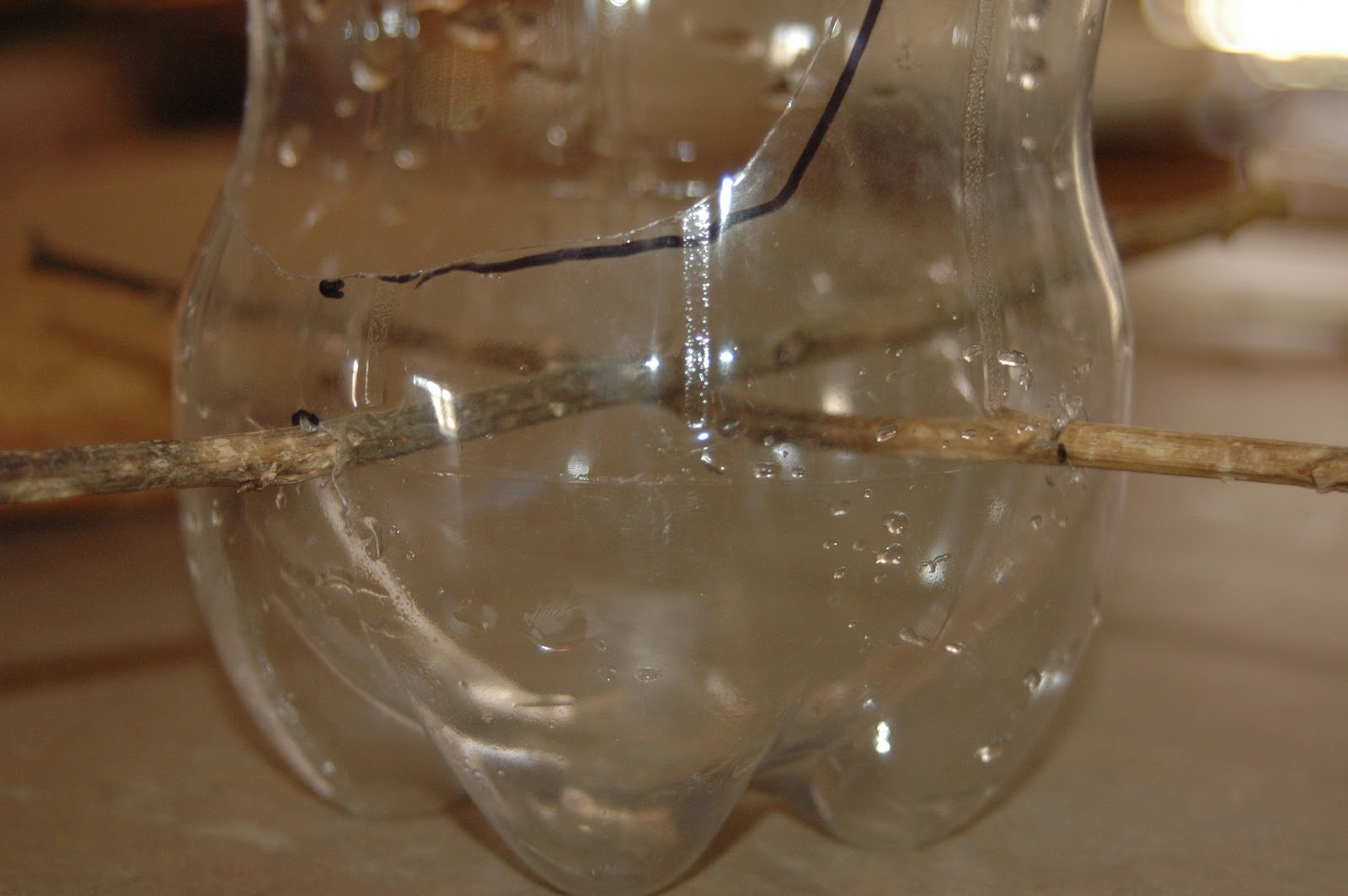 What Mommy Wants Recylced 2liter Bottle Bird Feeder