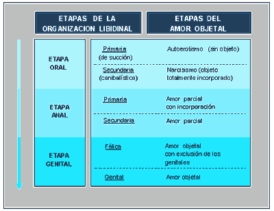 TEORIAS SOBRE LA SEXUALIDAD teorias sobre la sexualidad:
