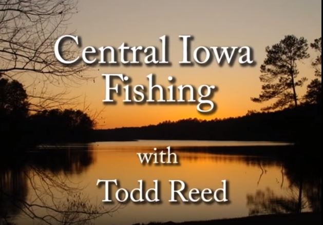 VIDEO: Summer Bass Fishing