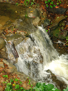 Creek Flowing over Waterfall