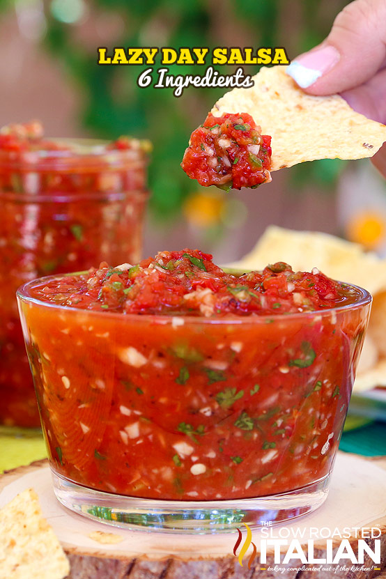 Lazy Day Salsa