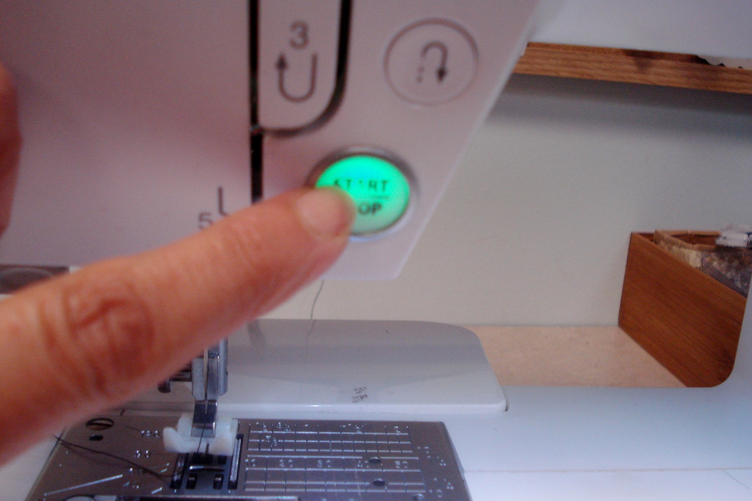 SewPassionista by DIANA I'd Like to Ask You Something