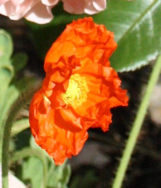 rencontre femme sérieuse sur le doubs