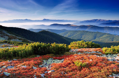 Paisajes Naturales Landscapes