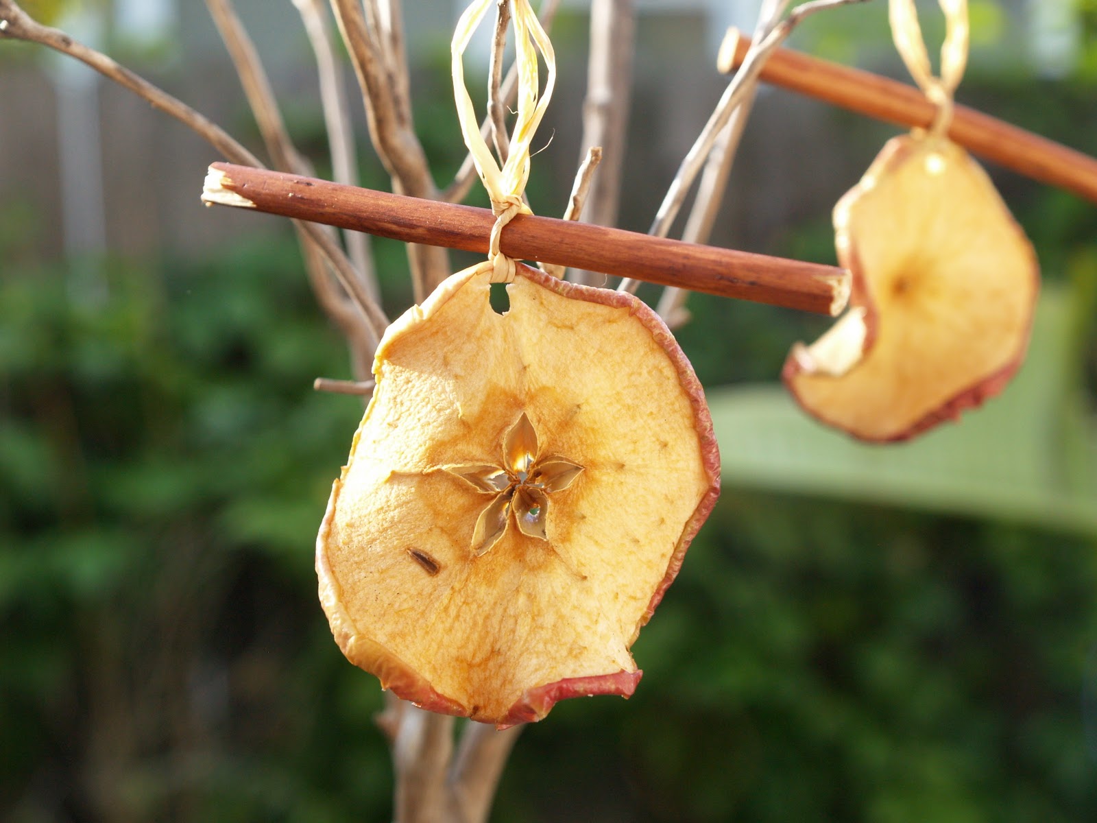 Handmade Christmas Ornaments Dried Apples and Cinnamon The Magic