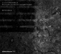 Lucas Niggli - Peter Conradin Zumthor: Spiegel (Edition Therme Vals, 2012) 1