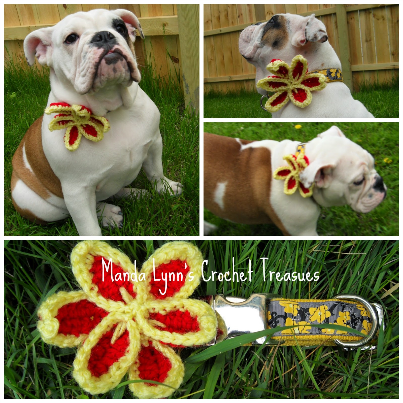 MandaLynn's Crochet Treasures Collar Flower 4 Pets