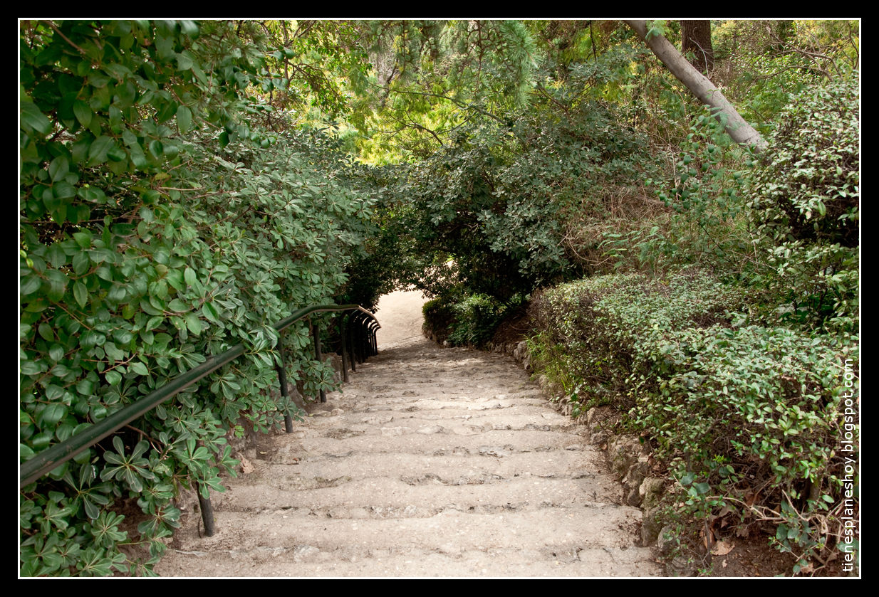 external image 20110213+La+Quinta+de+la+Fuente+del+Berro+041.jpg