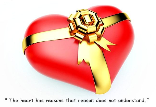 quotes from stars and with quotes about stars. quotes from stars and with