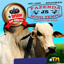 Comitiva Fazenda Novo Tempo Vol.1 (2013)