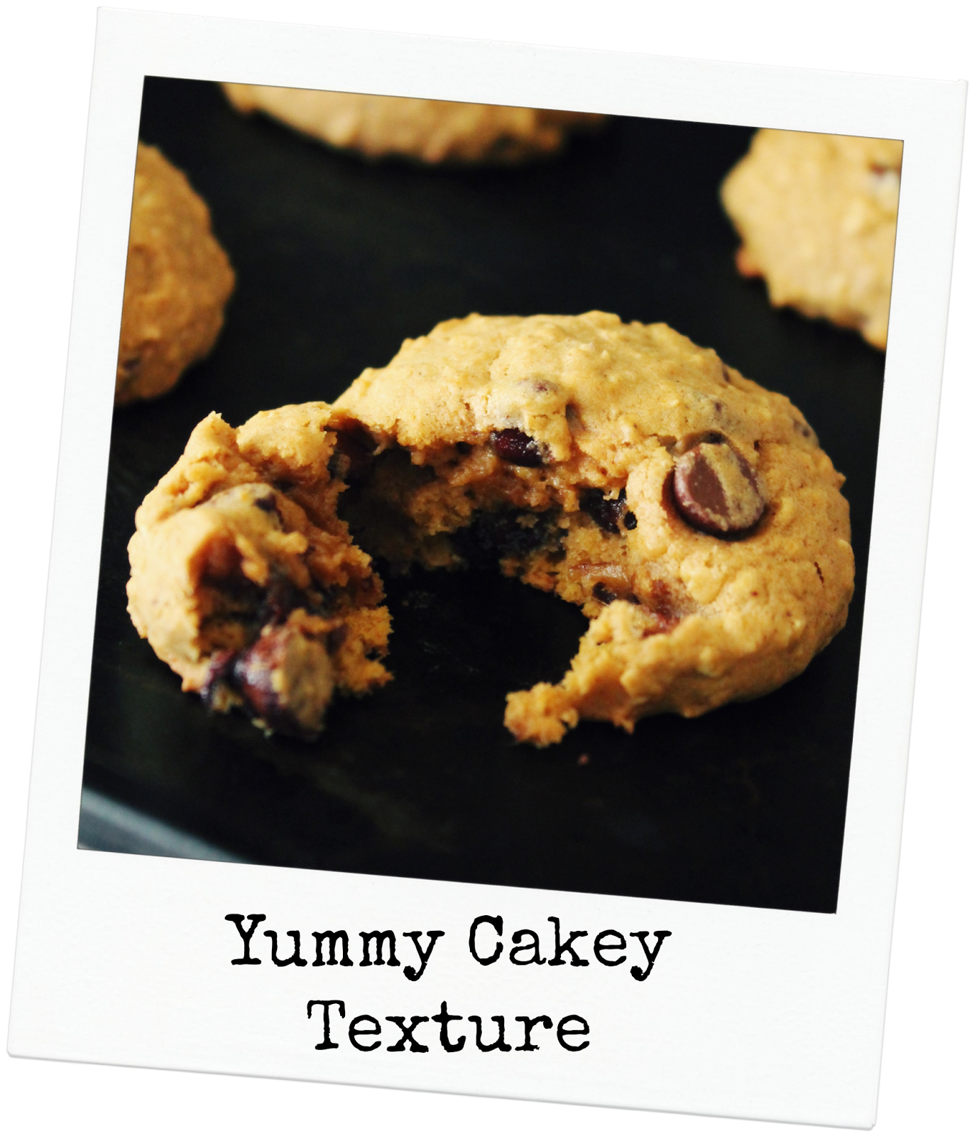 Sweet Magnolias Farm N the Kitchen with Sweet Magnolias Farm