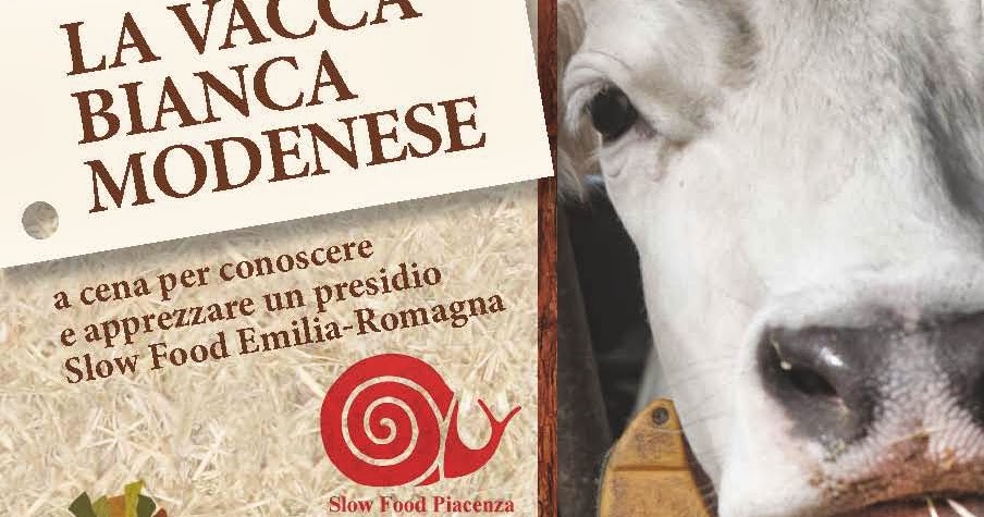 Cascinotta di Rizzolo CRESFONTE E LA VACCA BIANCA MODENESE