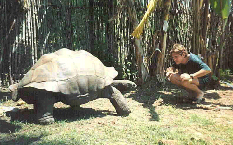 World's Biggest Reptiles