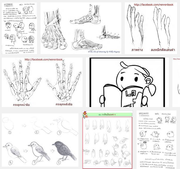 การวาดภาพ สอนวาดภาพ เรียนวาดภาพ การวาดภาพ สอนวาดภาพ เรียนวาดภาพ