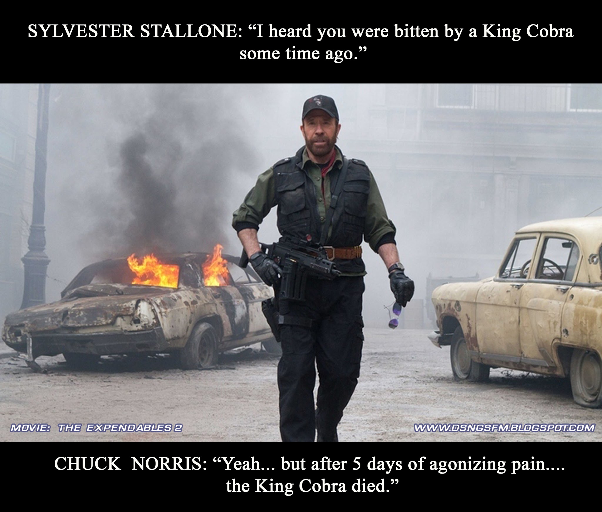 King Cobra Quotes. QuotesGram