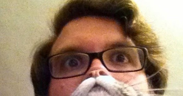 pinter interesting glorious cat beards