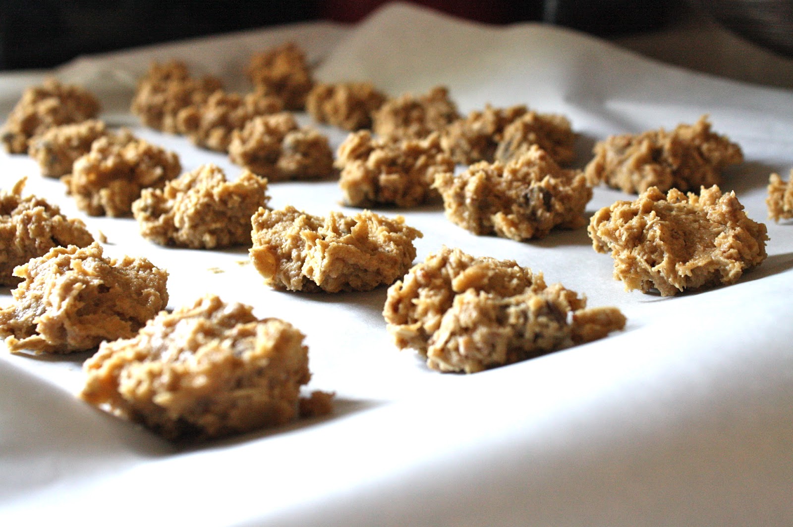 Food oatmeal choc chip grape nut cookies