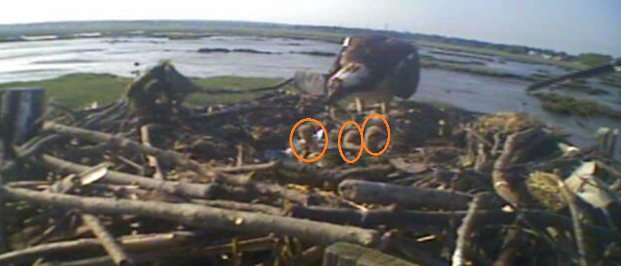 View index montreal shtml