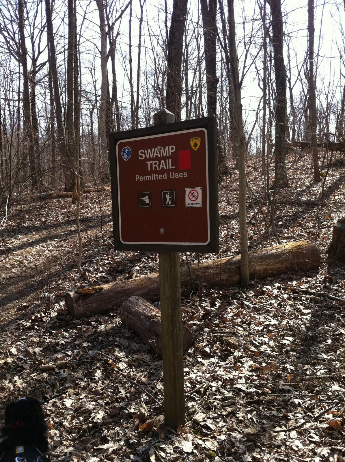 Agile Trekker Jenny Jump Mountain, Jenny Jump State Forest, Hope, NJ