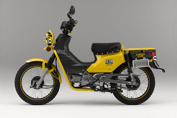 Free Download Premium Wordpress Themes Nulled And Used