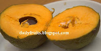 Lucuma Fruit lucuma, fruits and health, dailyfruits.blogspot.com