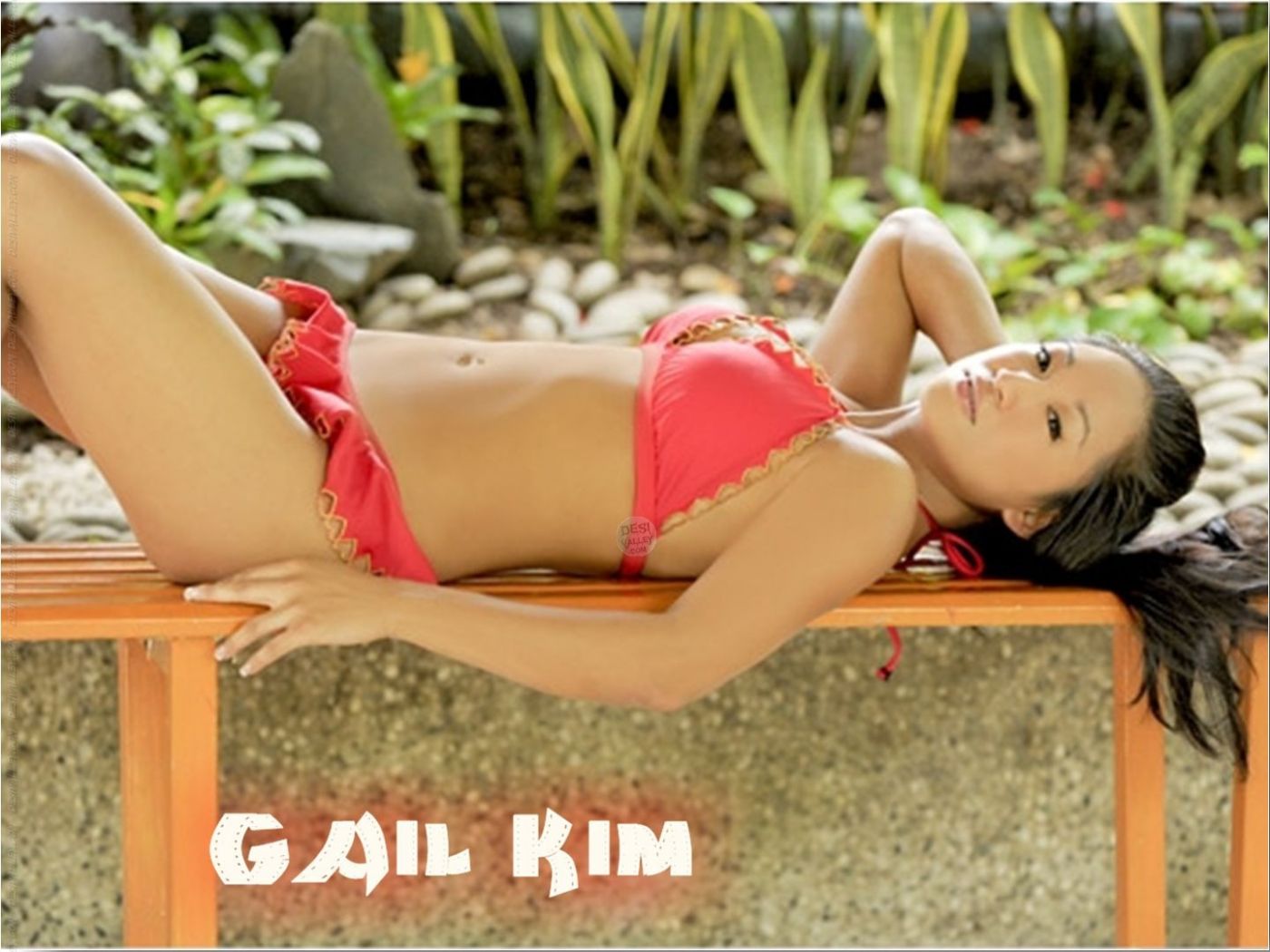 Wrestling All Stars: WWE Gail Kim hd Wallpapers 2012