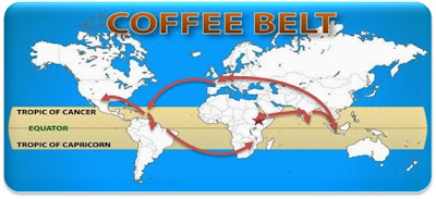 10 Sejarah Kopi Yang Kita Tak Tahu