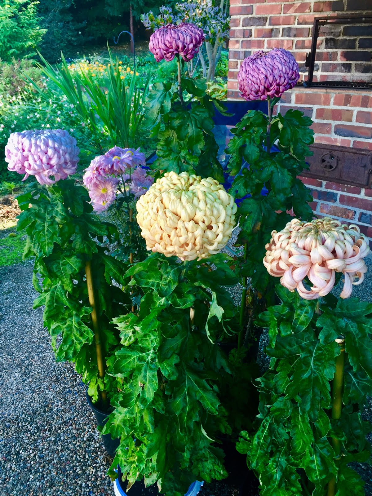 Mukilteo School District Craft Fair