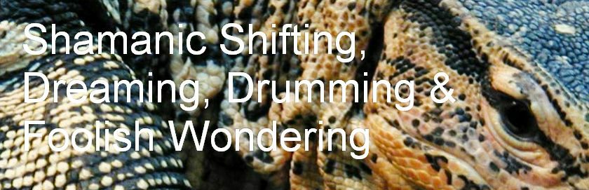 Shamanic Shifting, Dreaming, Drumming & Foolish Wondering